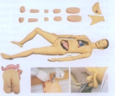 高级组合式基础护理训练模型