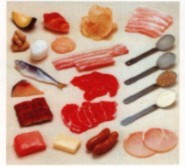 高脂肪食品模型常规