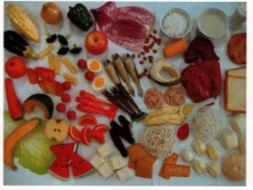 糖尿病营养指导用模型