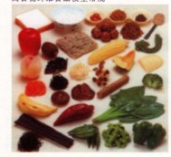 高食物纤维食品模型常规