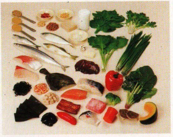 儿童营养指导实物模型