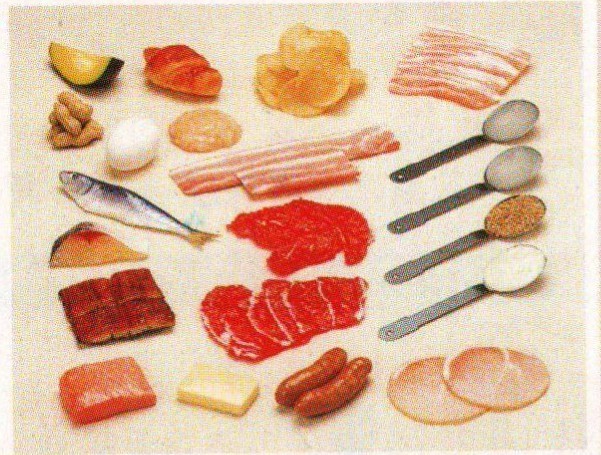 高脂肪食物模型20种