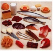高胆固醇食品模型常规