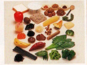 高纤维食物模型33种