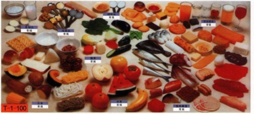 教学营养指导模型