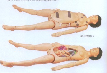 高智能数字化分娩与母子急救模拟人