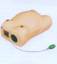 高级电脑孕妇检查模型