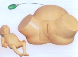 高级难产示教训练模型