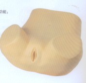 高级妇科训练模型