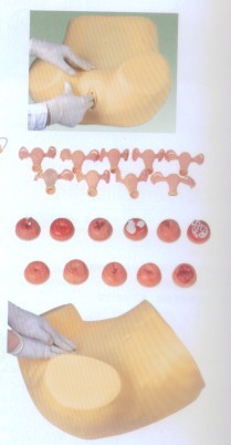 高级妇科检查模型