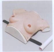 高级着装式乳房自检模型