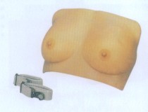 高级乳房检查模型