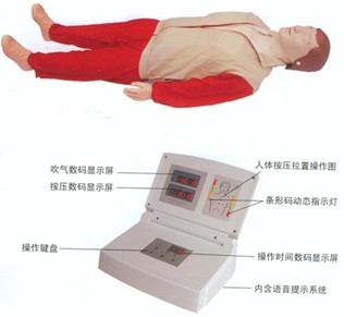 CPR模拟人|心肺复苏模拟人