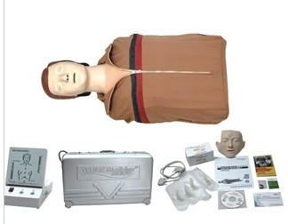 半身心肺复苏模拟人