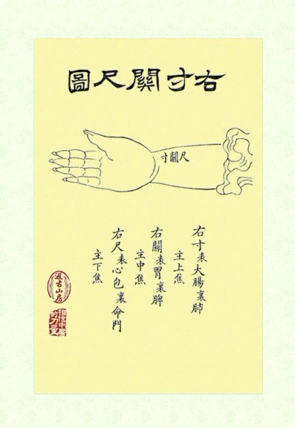 中医入门挂图：右手寸关尺图