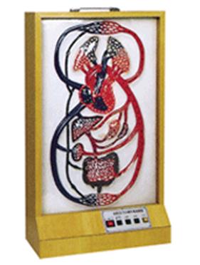 大、小循环电动模型