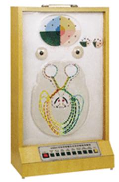 电动瞳孔对光反射模型