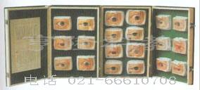 常见眼病模型（20只/套）