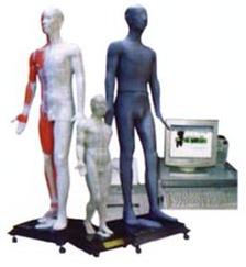 中医针灸教学模型|光电感应键控人体针灸穴位发光模型