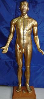 针灸铜人｜铜人针灸模型|针灸铜人模型