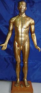 针灸铜人|半皮肤铜人针灸模型（十四经穴模型85CM）