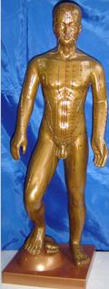 中医人体针灸模型|运动式古铜色人体针灸模型（85CM）