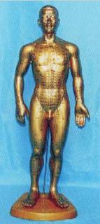 中医针灸穴位模型|全皮肤铜色人体针灸模型（68CM）