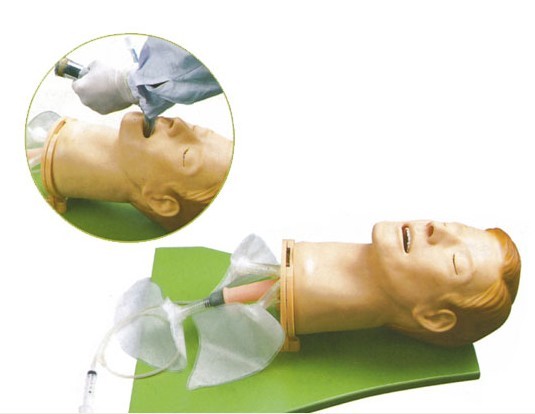 高级多功能气道管理模型