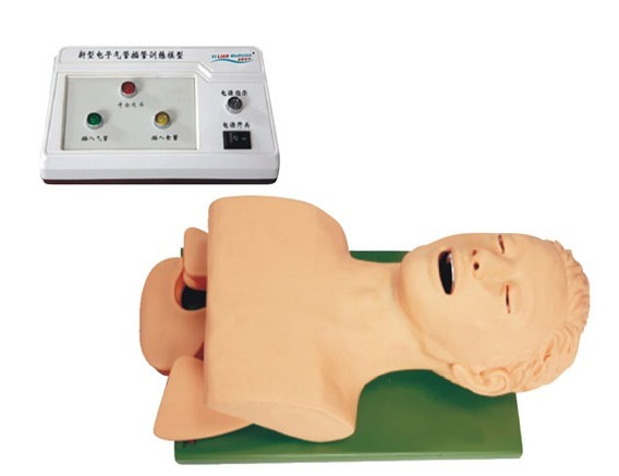 电子人体气管插管训练模型（带报警）