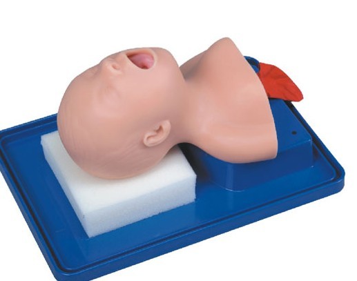 新生儿气管插管训练模型