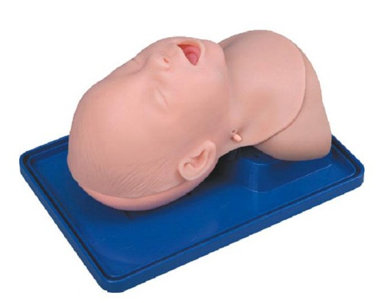 高级婴儿气管插管训练模型