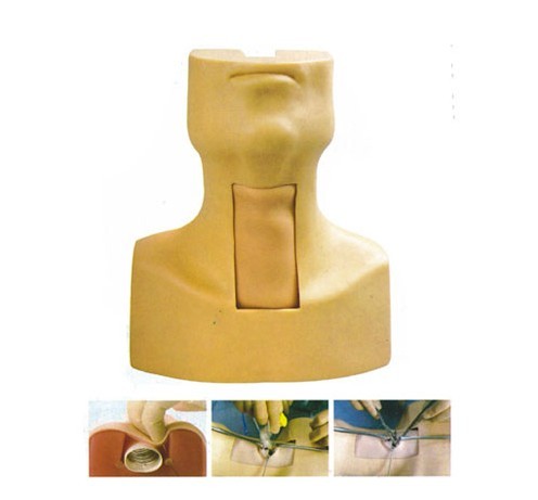 高级气管切开插管训练模型