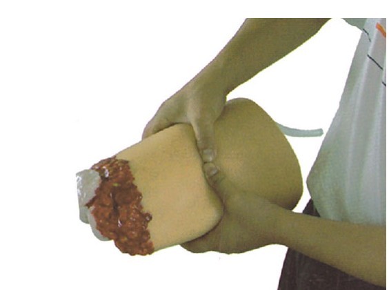 下肢外伤断肢止血模型