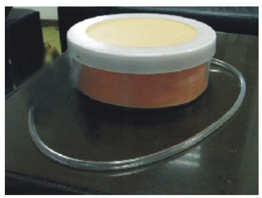 剖腹手术切开缝合模型