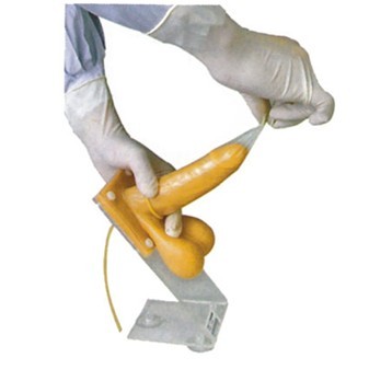 男性避孕套练习模型