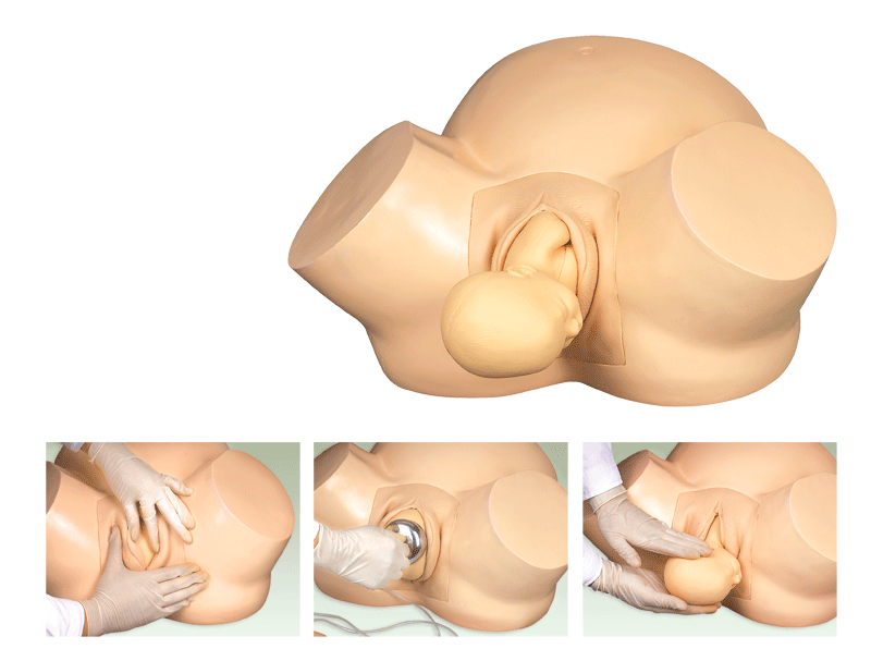 高级助产训练模型