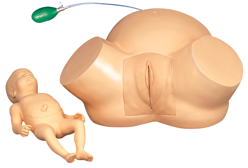 高级难产示教训练模型