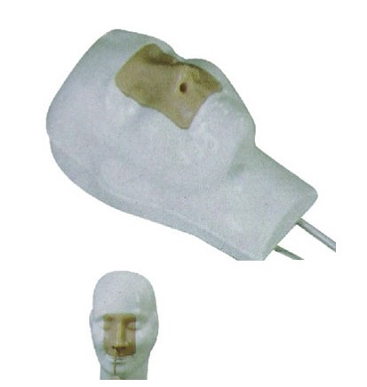 高级鼻腔出血模型