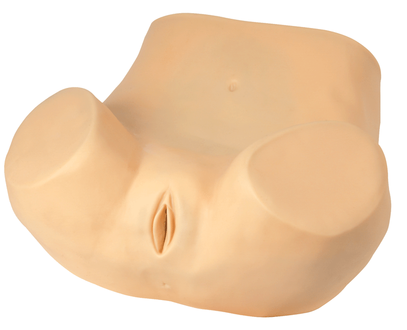 高级妇科训练模型