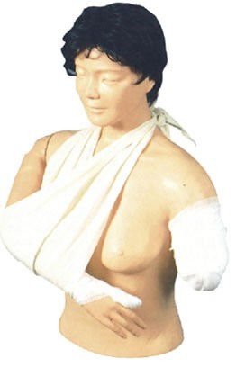 高级高位包扎模型