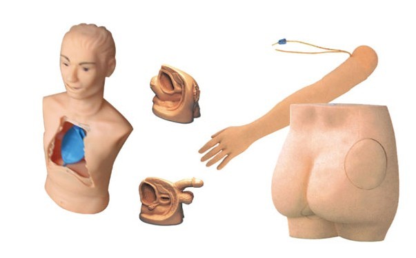 新型基础护理实习操作模型（五部件）