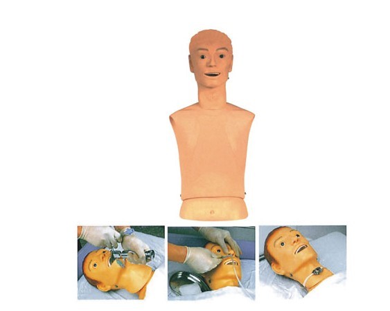高级鼻胃管与气管护理模型