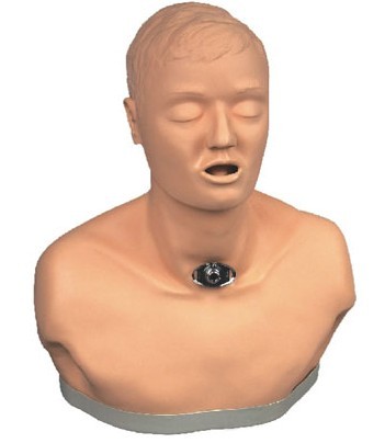 高级成人气管切开护理模型