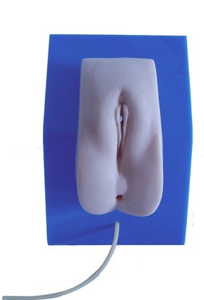 高级着装式女性导尿模型