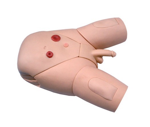 高级整体男性导尿模型