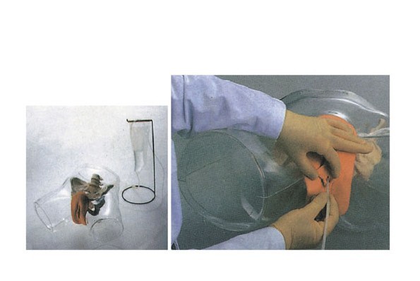 高级透明女性导尿模型