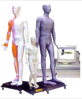 中医针灸模型|光电感应多媒体人体针灸穴位发光模型