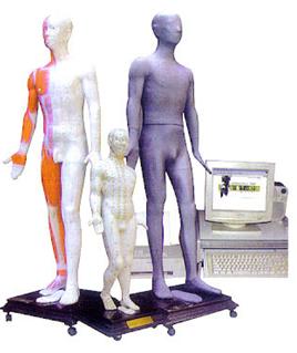 针灸模型|多媒体按摩点穴电子人体模型