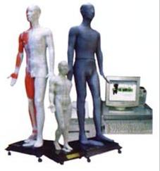 针灸教学模型|键控按摩点穴电子人体模型