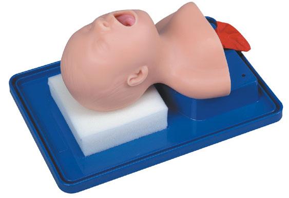 新生儿气管插管训练模型